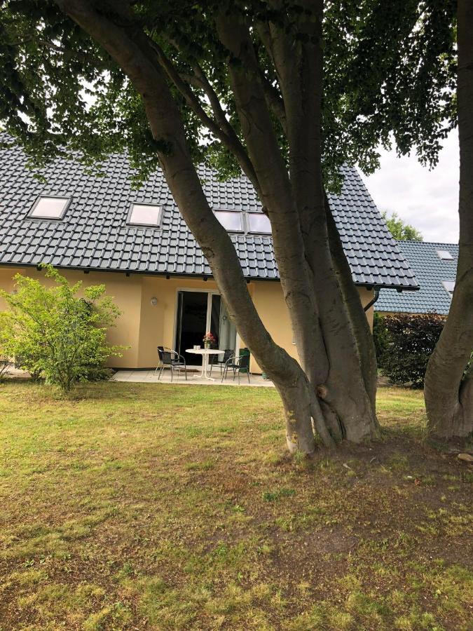 Ferienwohnung 'Bei Den Buchen' Цемпин Екстериор снимка